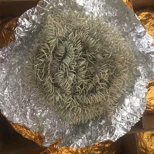 适用各种车型汽油车专用尾气治理通用三元催化器软质火莲花钢丝球