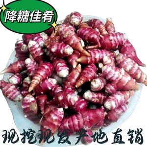 胰岛果种苗红果菊芋红皮洋姜鬼子姜洋姜新鲜紫皮现挖现发正宗