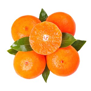 000人付款淘宝广西沃柑精品礼盒包装送礼当季一级大果新鲜水果现摘