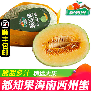 都知果海南哈密瓜大果 新鲜水果蜜瓜西州蜜网纹瓜顺丰