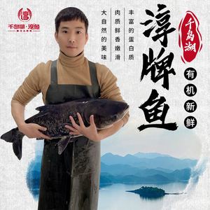 10斤官方正宗千岛湖淳牌有机鱼活鱼原生态胖头鱼大鱼头鳙鱼花鲢鱼