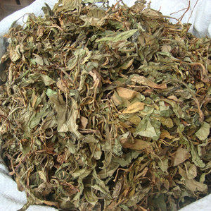 805人付款淘宝3份包邮福建泰宁农家野生苦菜干自制天然晒苦斋婆野菜干