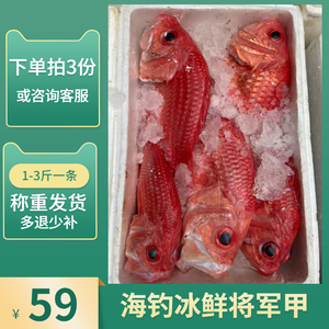 海钓深海鱼将军甲鱼冰鲜刺身生红鰃鳞鱼红鱼 1斤的价格2条起发