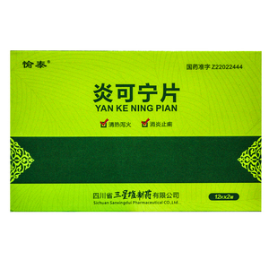 愉泰 炎可宁片 24片 中药消炎药牙疼牙齿中成药 中药消炎 清热泻火 扁