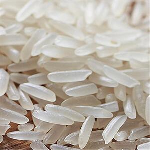 【10斤】大米浙江嘉兴平湖市特产5kg长粒香米正宗新米早中晚稻