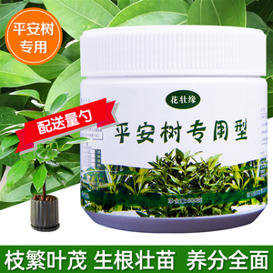 平安树专用肥料营养液室内平安树龙血树复合肥盆栽树木通用型花肥