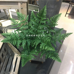 22仿真热带雨j林蕨类植物波斯蕨叶婚庆墙面盆栽搭配绿植半边旗凤