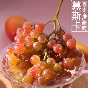 智利慕斯卡葡萄香水葡萄水晶玫瑰香提子 2斤装香味浓郁发顺丰空运
