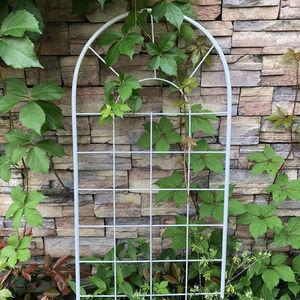 种植园艺葡萄植物攀爬瓜果藤蔓花卉尼龙网豆角牵藤搭架子网0人付款16