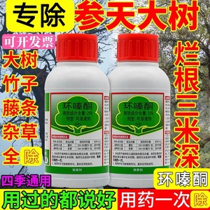 环嗪哃酮铜环泰铜除乔木专用药竹子烂根药杂竹净除草烂根剂一扫光