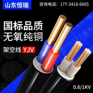 国标足米纯铜护套线YJV2 3 5芯4 6 10 16 25平方阻燃室外电线电缆