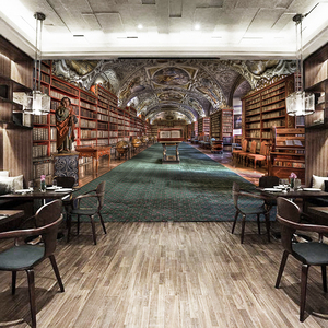 欧式图书馆空间延伸立红书架壁画网体直播壁纸墙房沙发背景书墙纸