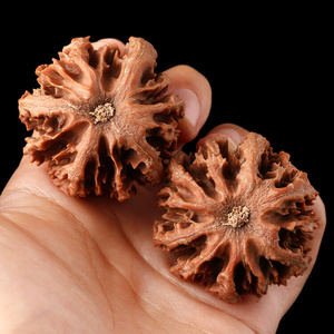 特大陕西八棱灯笼文玩麻核桃大粗筋矮桩手把件收藏狮子头官帽野生