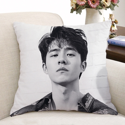 真朝日用百货淘宝刘昊然抱枕定制做私人diy人形情侣靠枕头被子两用