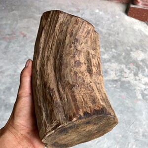 广西巴马土沉香天然花果香高油性原木料按斤切割出售每斤66