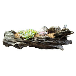 高档原生态木槽多肉花盆老树根植物盆栽枯树桩空气凤梨枯木创意微