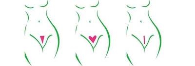 比基尼阴毛模板模具形私处阴毛剃毛脱毛女模型模块修剪造型模.