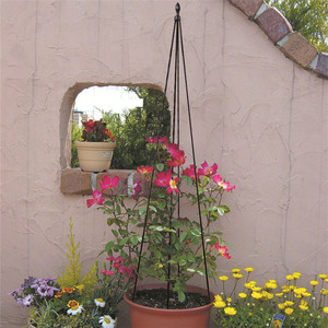 新款季台四角花塔虹越阳架花园月花铁线莲盆地栽爬藤植物支.