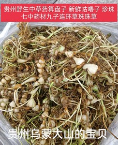 算盘子贵州省野生九子连环草珠子七 珍珠草中草药鲜货500克包邮