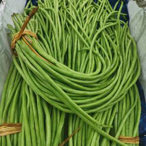 贵州新鲜豇豆当季农家蔬菜角豆姜豆脆嫩挂长豆角特产顺丰航空包邮