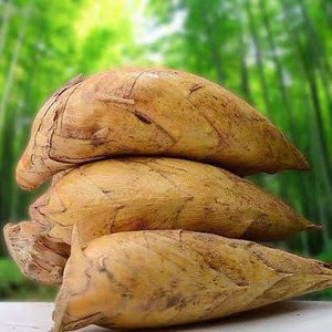 00tb575544218淘宝福建竹笋新鲜现