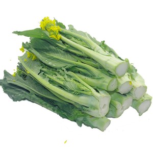 增城正宗迟菜心