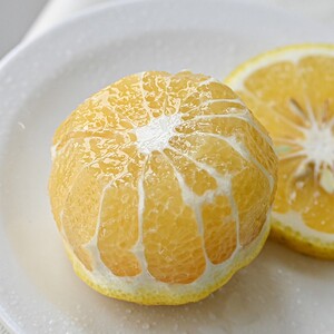 000人付款天猫福建平和黄心柚子树苗 红皮黄肉蜜柚苗 金橙黄金3号