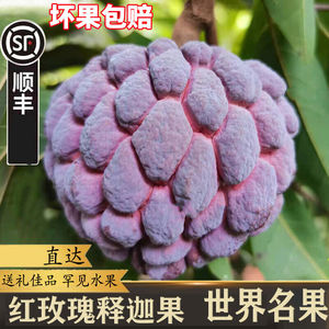 (顺丰/空运)紫色红玫瑰释迦果3斤/5斤新鲜海南番荔枝牛奶释迦果