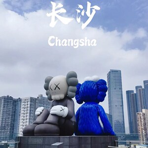 000人付款淘宝潮流潮牌sz-sujiao-kaws长沙ifs款公仔玩偶手办(形态