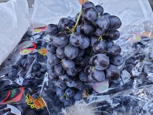 新鲜进口品种水果秘鲁智利玫瑰香无籽黑提葡萄提子新鲜整阳光非楼