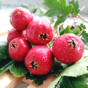 果现摘现发大五棱菱蜜罐山楂野生小山楂干山里红甜子金星5人付款59