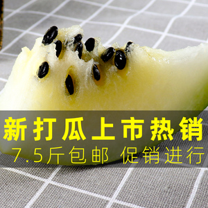 敖汉打瓜黄壤大打瓜一个7.5斤内蒙古赤峰沙地打瓜水果特产
