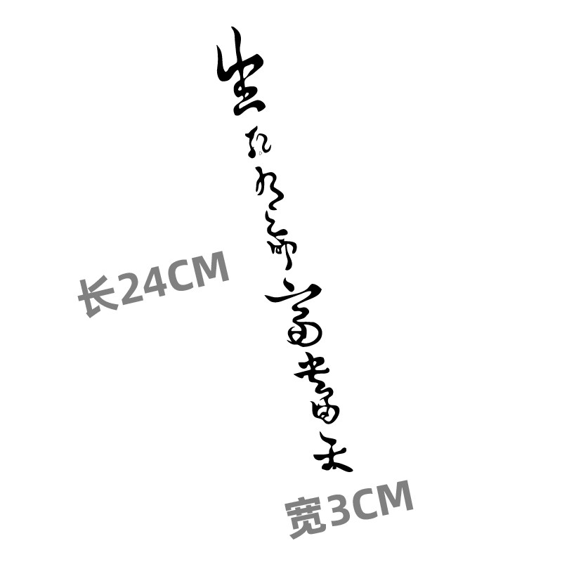 新品生死有命富贵在天贴纸单车贴山地车公路车架反光贴前f叉个性