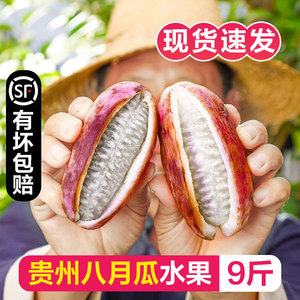 现货贵州八月瓜水果八月炸新鲜5斤精选大果网红水果罕见野生8月炸