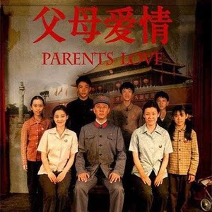 家庭情感爱情连续剧 父母爱情电视剧全集dvd碟片车载u盘 梅婷郭涛