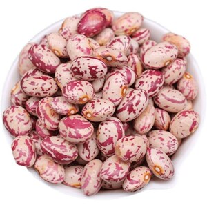 麻雀豆家雀蛋种子东北红金钩油豆角花豆四季豆地豆爬藤蔬菜种籽子