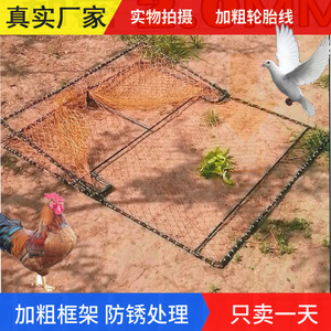 捕鸽神器收鸽抓鸽子笼天落笼全自动逮鸽大号养殖笼户外抓捕鸡套网