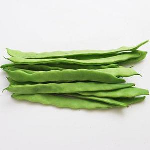 高产宽扁四季豆种子 眉豆架豆芸豆刀豆芸 扁豆蔬菜种籽春秋播散装