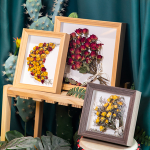 38同款货源捷程家居专营天猫海螺相框diy天然贝壳标本手工装裱