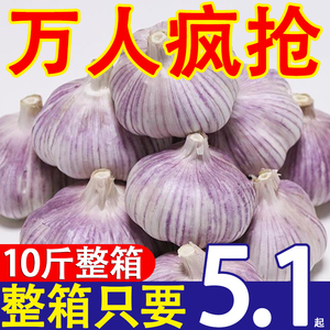 新干蒜5斤大蒜头干大蒜山东金乡批发新鲜蔬菜2/3/10斤紫皮蒜