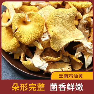鸡油菌榆黄蘑黄金菇500g