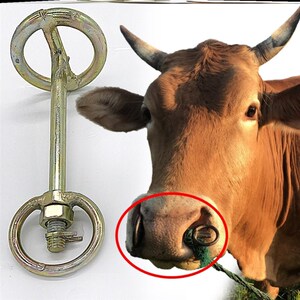 新栓子扣牛鼻夹环夹牛鼻孔扣头圈不锈钢牵引扣钳p子大号免打孔.