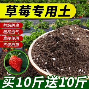 草莓专用营养土种植土盆栽养花泥土阳台栽培通用有机土肥料育苗土