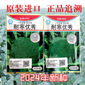 耐寒优秀西兰花种子2023年新种日本坂田进口青花椰菜籽耐寒高产孑