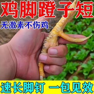 鸡长飞爪药【吃完八厘米】鸡脚蹬子脚钉促生长无激素长小脚鸡饲料
