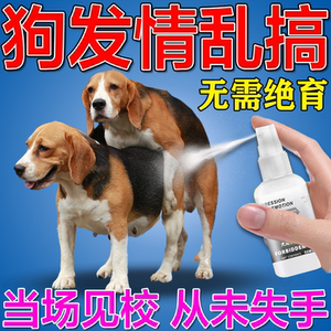 避孕药绝育针长效公猫母猫宠物犬抑制发情免手术去势针剂92人付款43