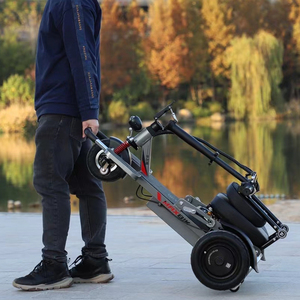 小飞哥老人代步车三轮电动残疾人家用双人老年助力车可折叠电瓶车