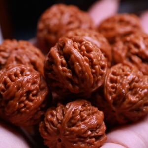 正圆矮桩蚂蚁纹门头沟京八棱小核桃狮子头手串男文玩秋子佛珠手持