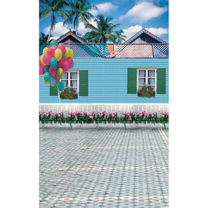 家庭摄影背景布