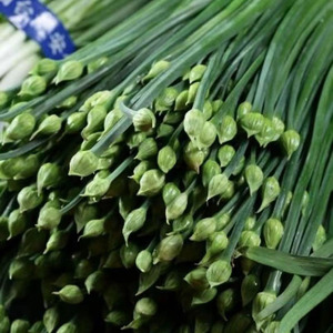 新鲜韭菜苔应季特产蔬菜韭苔茎22年现货农家美食韭菜心1斤包邮